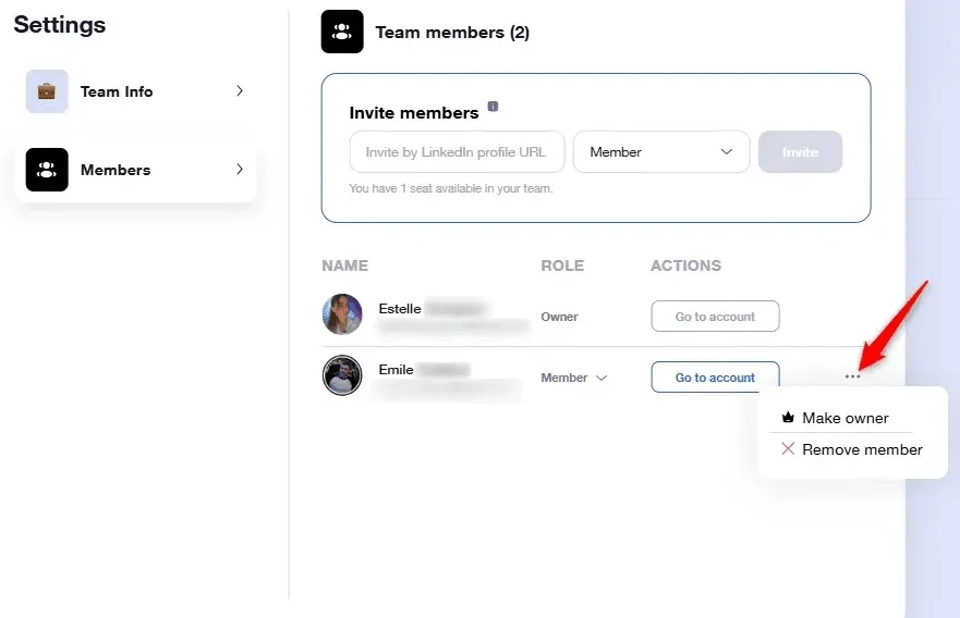 Page de gestion des membres d'une équipe en ligne. Options pour promouvoir un membre à l'owner ou le retirer du groupe. Interface utilisateur avec des options et des profils de membres.