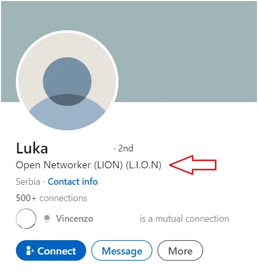 LinkedIn Open Networker
