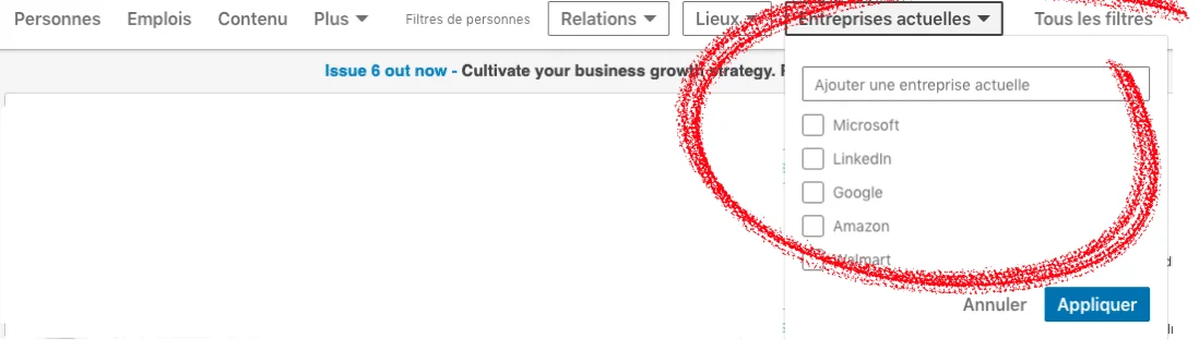 filtre linkedin par entreprise